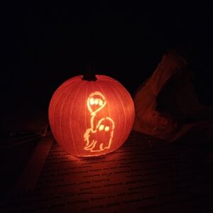 Meet your Posher, Lindsay